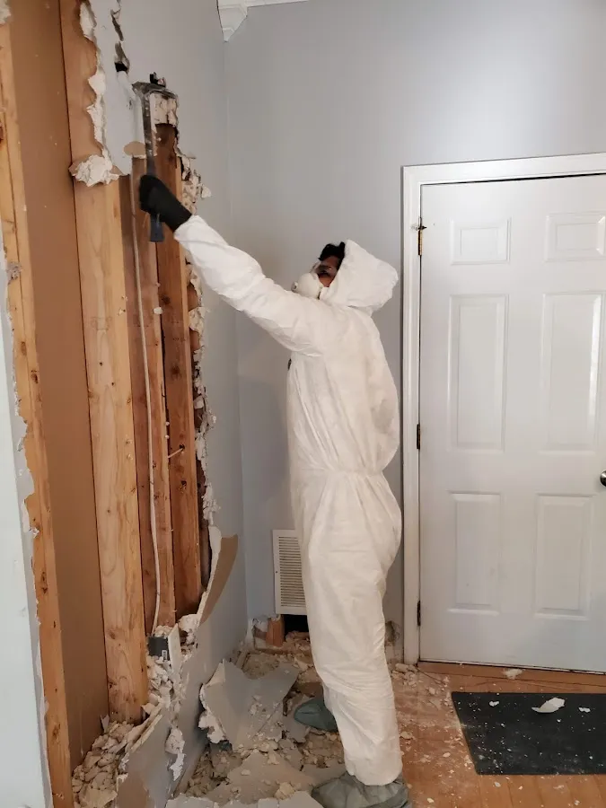 Basement Flood Cleanup in Welcome, SC